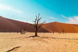 เกาะ skeleton Coast ประเทศนามิเบีย